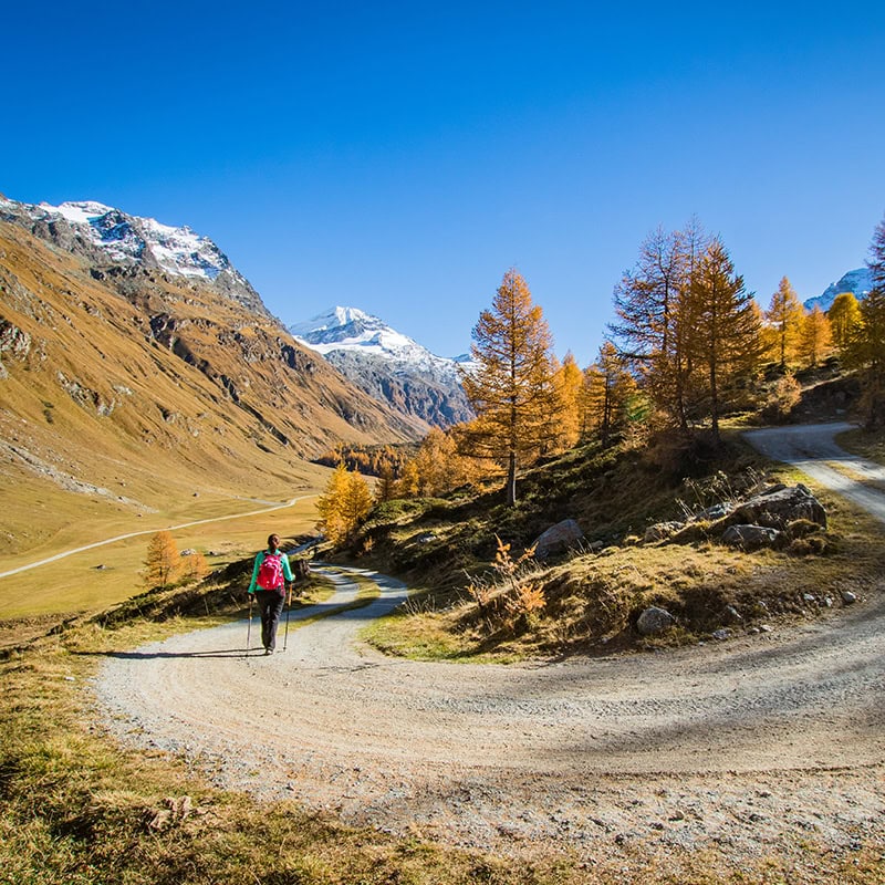 Sebastian Vetter und sein Freund Dr. Thomas Vogel entdecken die Alpenroute: Spektakuläre Bergpanoramen in der Schweiz